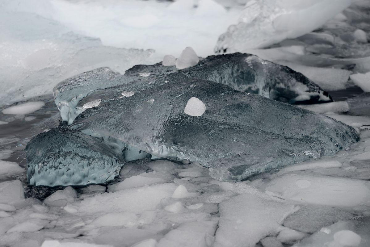 07A Transparent Black Ice That Looks Like A Turtle Floating In The Ice Near Danco Island On Quark Expeditions Antarctica Cruise